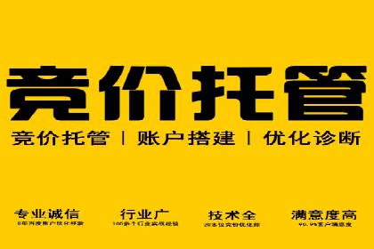 百度广告投放的创意策略及案例分析